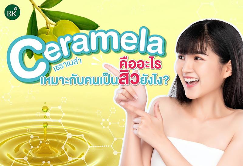 ceramela คืออะไร 