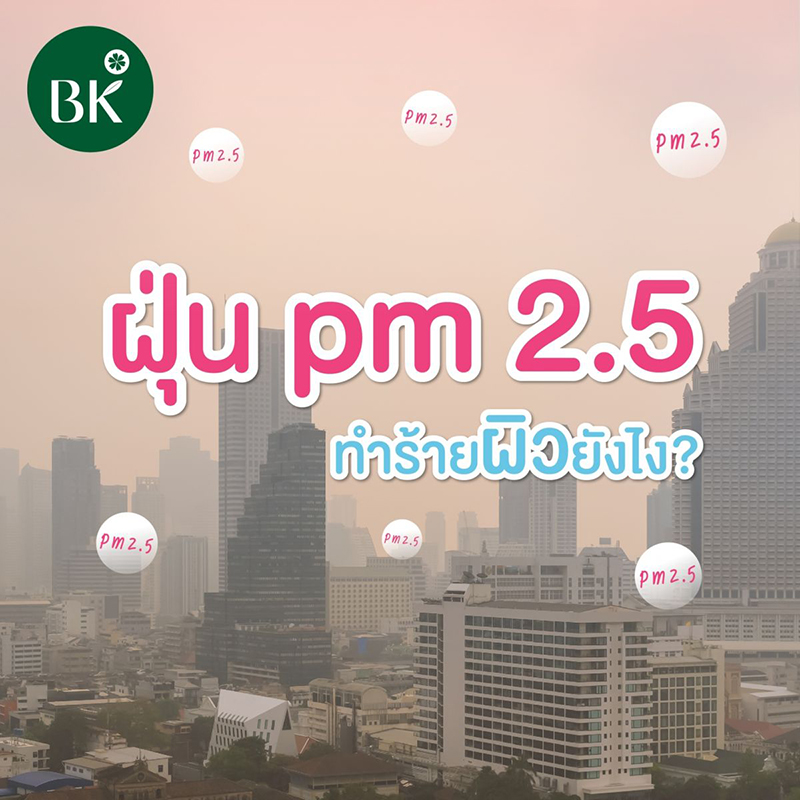 ฝุ่นpm2.5